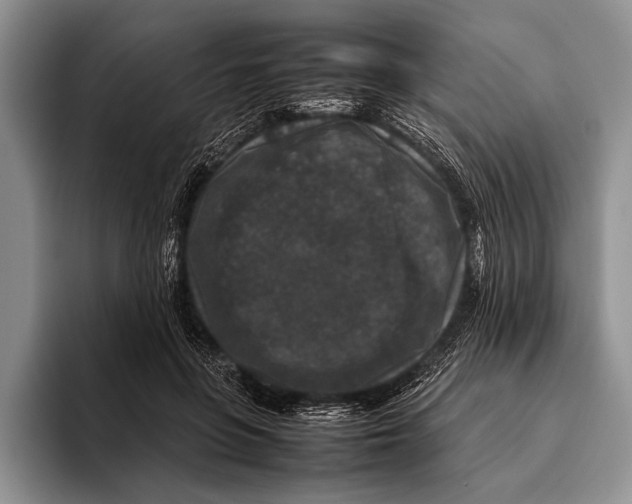 X0000095950551200802081259