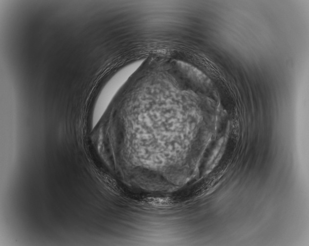 X0000095950552200802081259