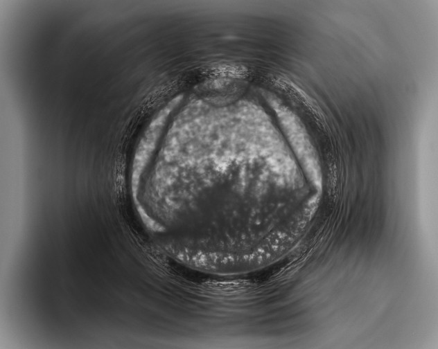 X0000095950553200802081259