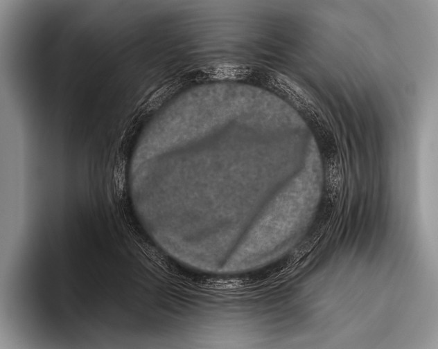 X0000095950554200802081259