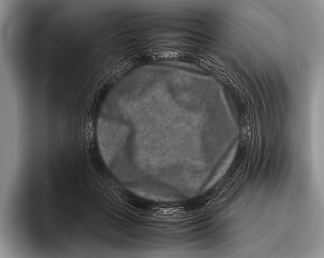 X0000095950555200802081259