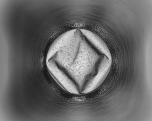 X0000095950556200802081259