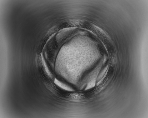 X0000095950558200802081259