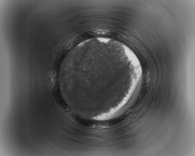 X0000095950559200802081259