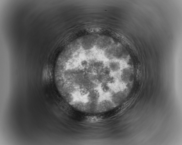 X0000095950561200802081259