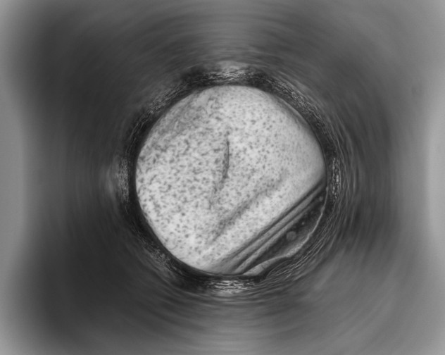 X0000095950562200802081259