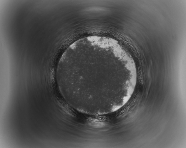 X0000095950563200802081259