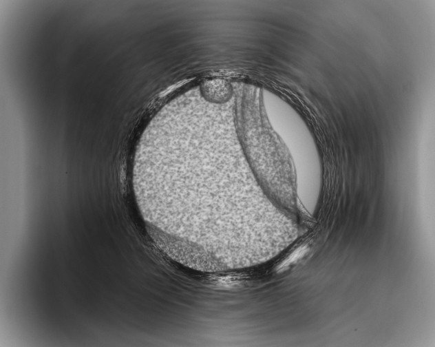 X0000095950564200802081259