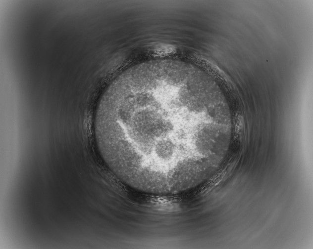 X0000095950565200802081259