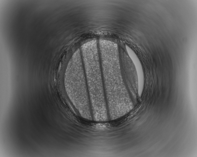 X0000095950566200802081259