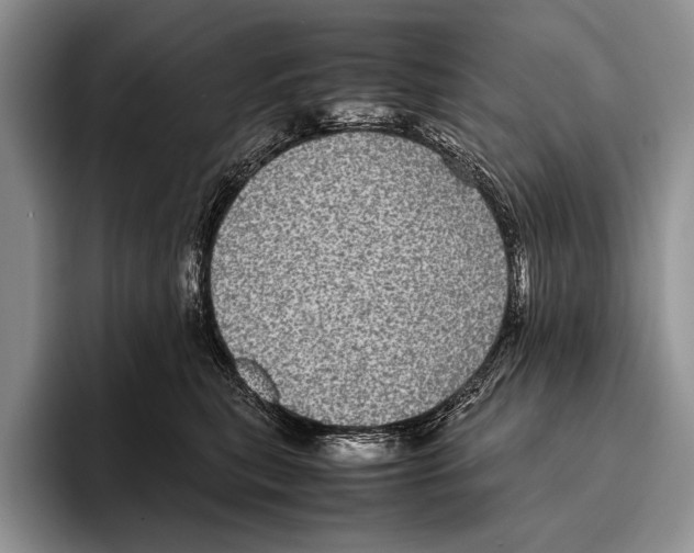 X0000095950567200802081259