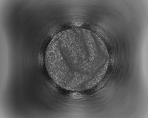 X0000095950568200802081300