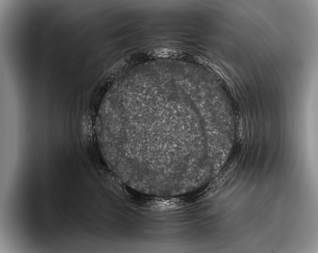 X0000095950569200802081300