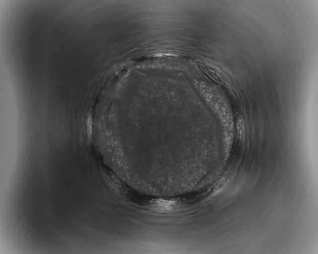 X0000095950570200802081300