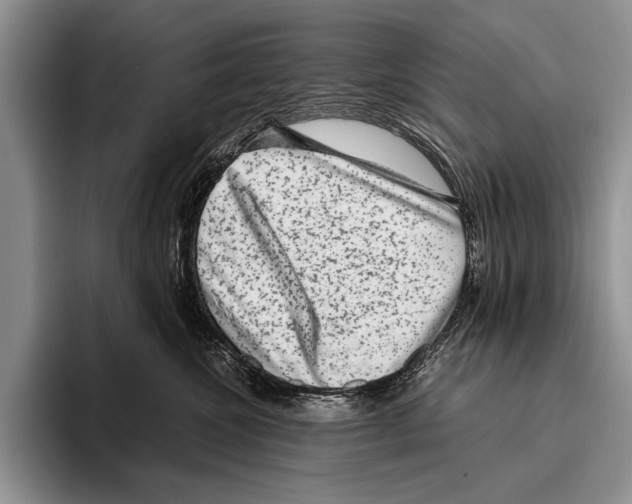 X0000095950572200802081300