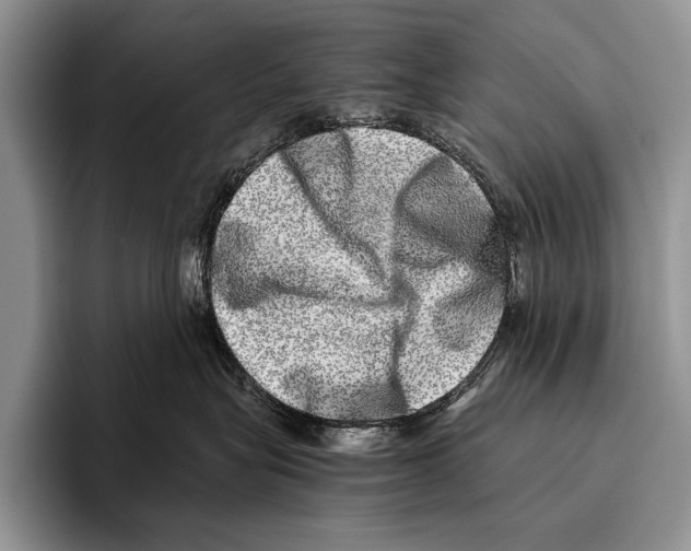 X0000095950575200802081300