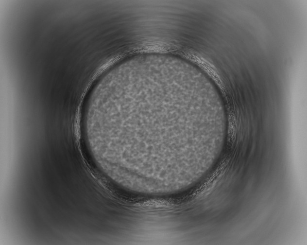 X0000095950578200802081259