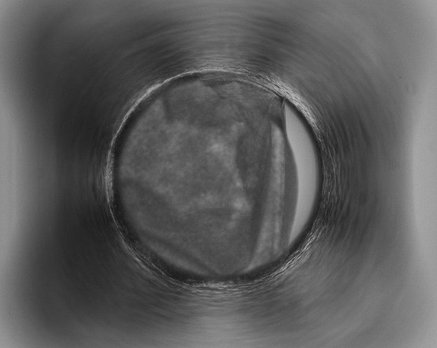 X0000095950580200802081259