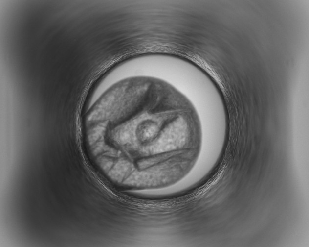 X0000095950581200802081259