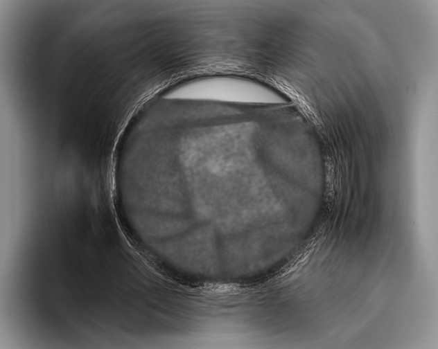 X0000095950582200802081259