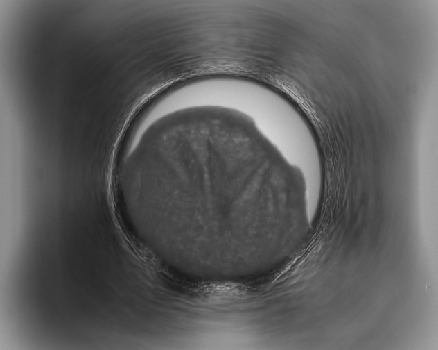 X0000095950583200802081259