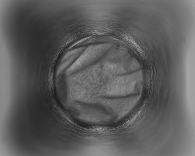 X0000095950585200802081259