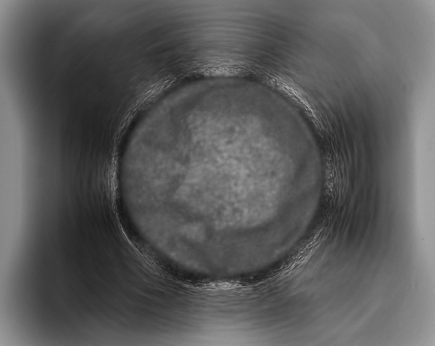 X0000095950586200802081259