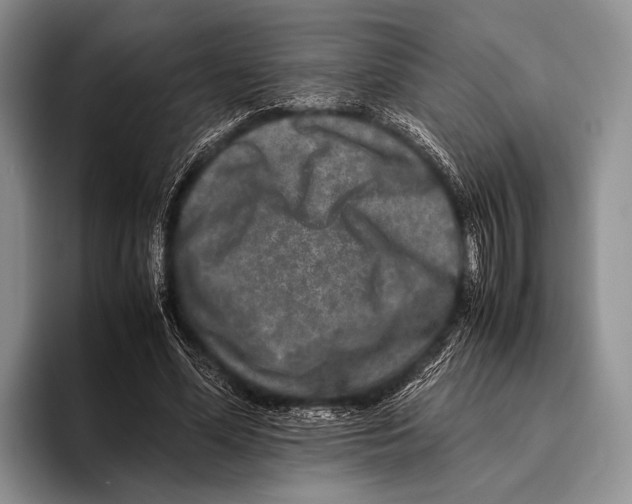 X0000095950588200802081259