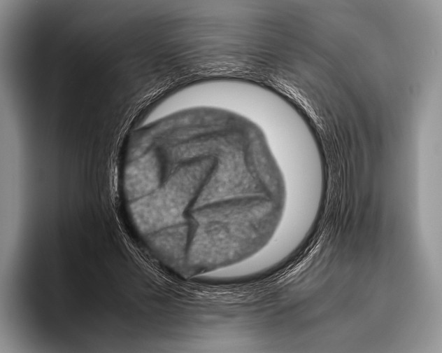 X0000095950589200802081259