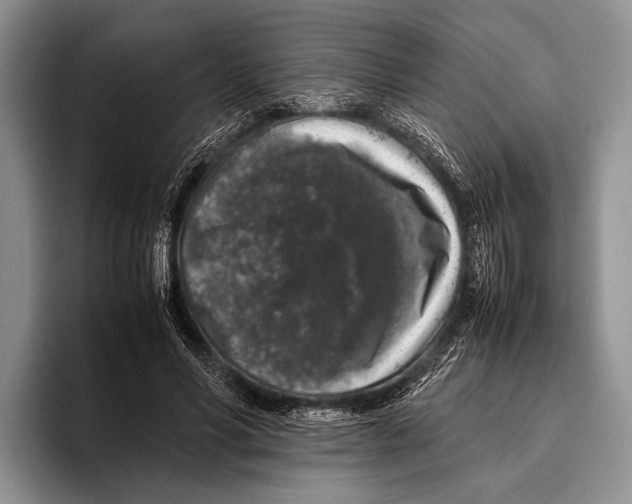 X0000095950590200802081259