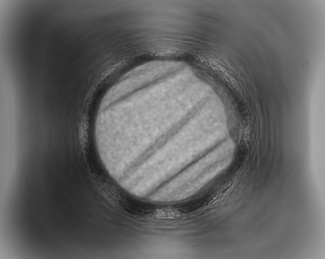 X0000095950591200802081259