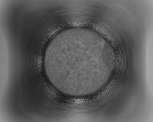 X0000095950592200802081259