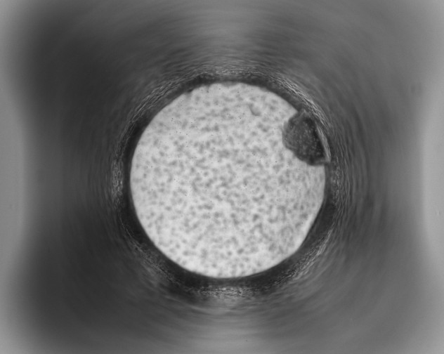 X0000095950593200802081259