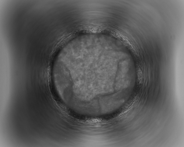 X0000095950594200802081259