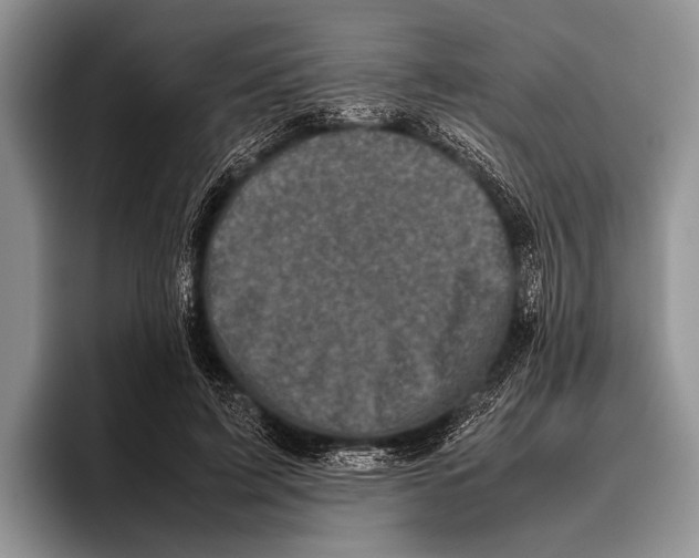 X0000095950595200802081259