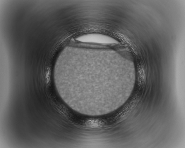 X0000095950596200802081259