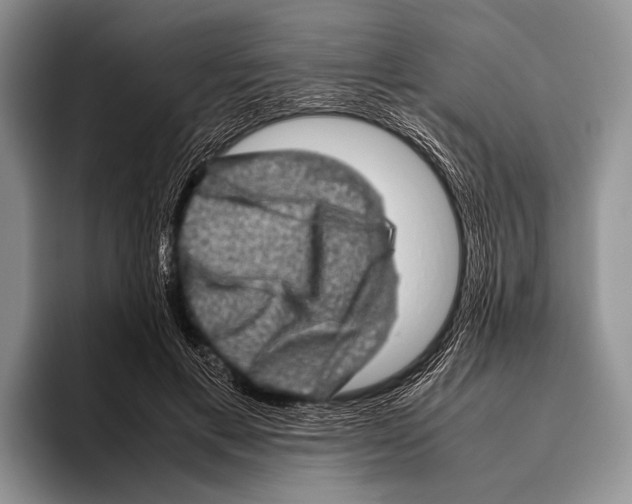 X0000095950597200802081259