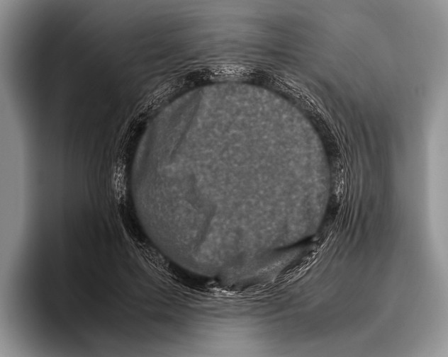 X0000095950599200802081259