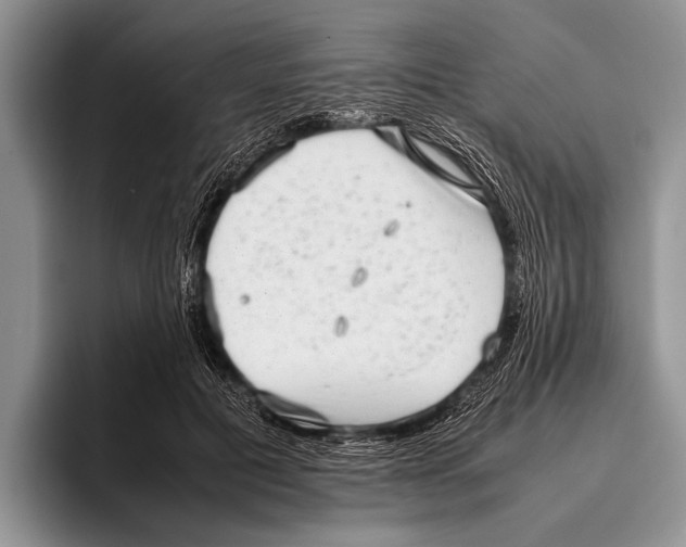 X0000095950601200802081259