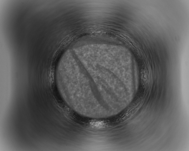 X0000095950602200802081259