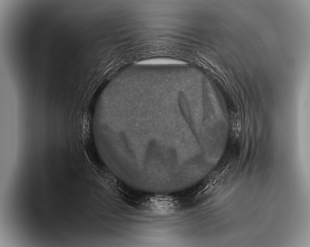 X0000095950603200802081259