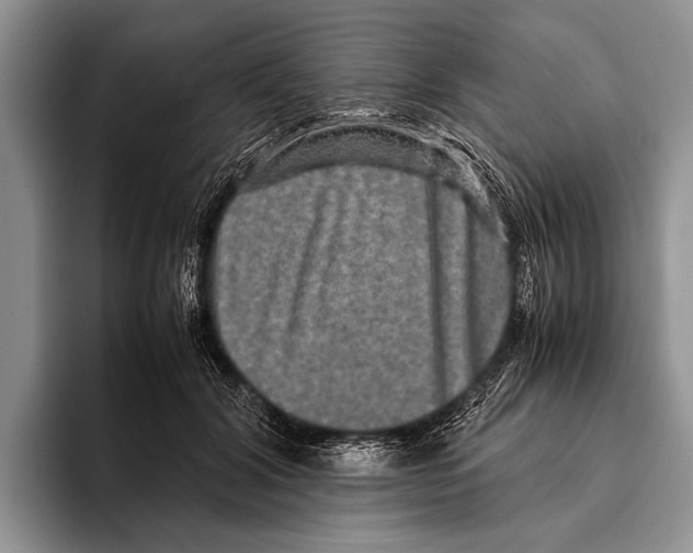 X0000095950604200802081259