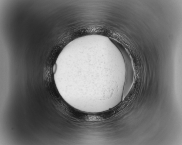 X0000095950605200802081259