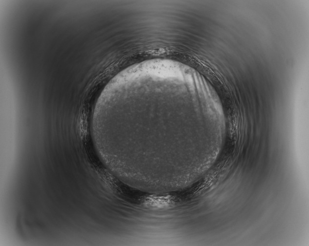 X0000095950606200802081259