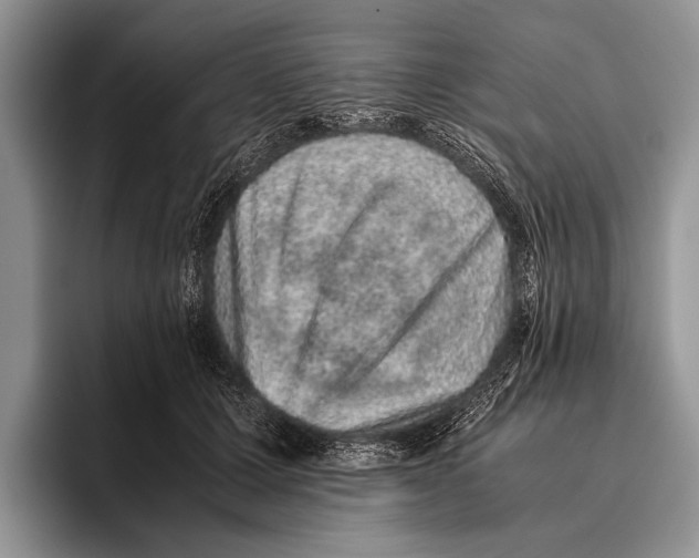 X0000095950607200802081259