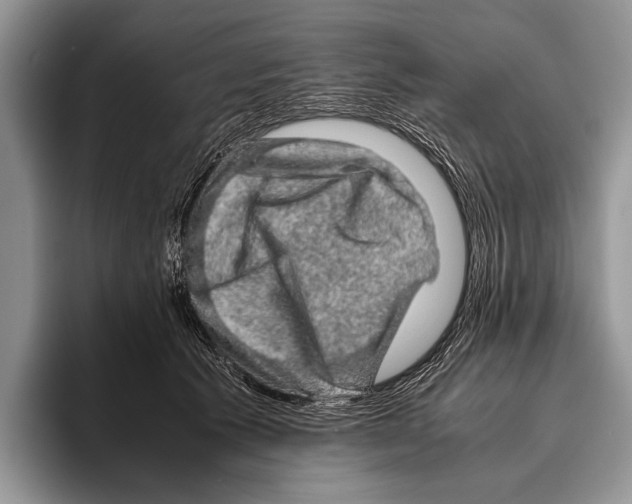 X0000095950609200802081259