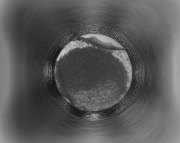 X0000095950610200802081259