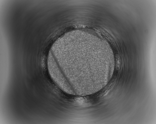 X0000095950616200802081258