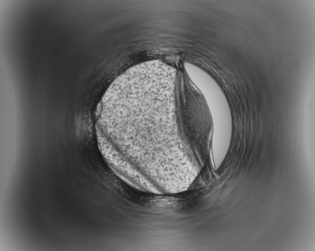 X0000095950617200802081258