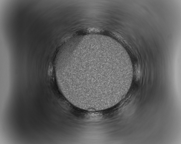 X0000095950619200802081258